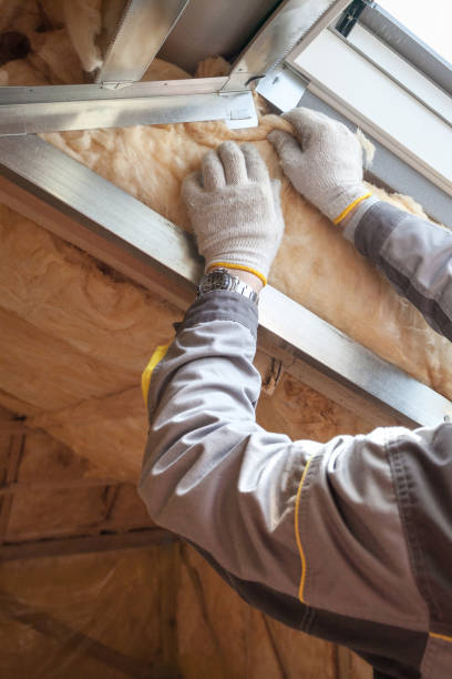 Best Insulation Installation Services in Eagle Pass, TX